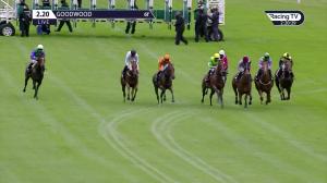 Video preview image for Goodwood 14:20 - tote.co.uk Home Of The Placepot Handicap (4)