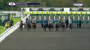 Video preview image for Kempton Park 17:00 - Unibet Extra Place Offers Every Day EBF Novice Stakes (5) (Div 1)