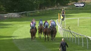 Video preview image for Perth 13:45 - Edinburgh Gin Juvenile Maiden Hurdle (Qualifier) (4)