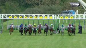 Video preview image for Listowel 15:55 - Listowel Printing Works Premier Handicap 