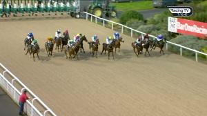 Video preview image for Dundalk 19:15 - Crowne Plaza Hotel Dundalk Handicap