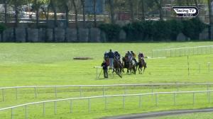 Video preview image for Listowel 14:50 - M.J. Carroll Arro Handicap Hurdle