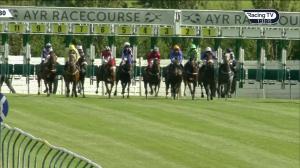 Video preview image for Ayr 13:30 - Scotty Brand Handicap (4)