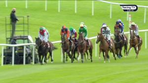 Video preview image for Punchestown 15:05 - Ems Copier 3-y-o Maiden Hurdle