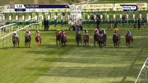 Video preview image for Salisbury 13:55 - Byerley Stud British EBF Novice Stakes (4) (Div 2)