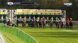 Video preview image for Salisbury 15:05 - Byerley Stud Handicap (4)