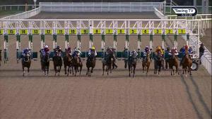 Video preview image for Chelmsford City 18:30 - tote.co.uk Free Streaming Every UK Race Handicap (4)