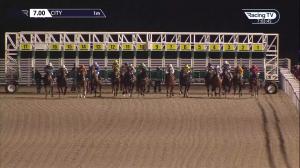 Video preview image for Chelmsford City 19:00 - chelmsfordcityracecourse.com Handicap (4)