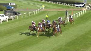 Video preview image for Ludlow 14:10 - Free Daily Tips At tipstersempire.co.uk Juvenile Maiden Hurdle (4)