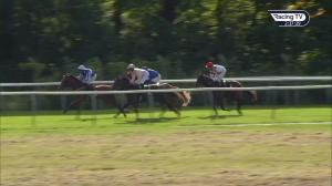 Video preview image for Nottingham 14:35 - Bet 10 Get 20 With Mansionbet British EBF Nursery Handicap (3)