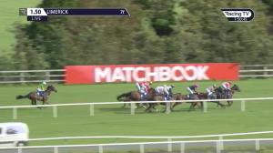 Video preview image for Limerick 13:50 - limerickraces.ie 