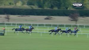 Video preview image for Fairyhouse 14:05 - Winter Festival November 28th & 29th Novice Chase