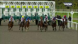 Video preview image for Chelmsford City 17:25 - EBF Novice Median Auction Stakes (5)