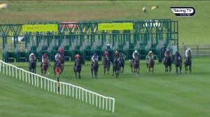 Video preview image for Curragh 13:10 - Curragh Where Champions Are Made Maiden