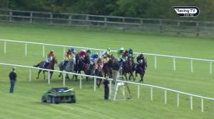 Video preview image for Limerick 15:00 - David Fitzgerald Memorial Handicap Hurdle