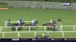 Video preview image for Limerick 15:30 - Limerick Rated Chase