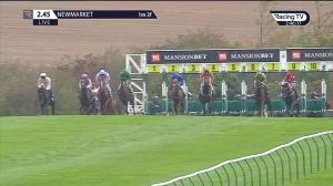 Video preview image for Newmarket 14:45 - British EBF Future Stayers Nursery Handicap (Sire and Dam Restricted) (2)