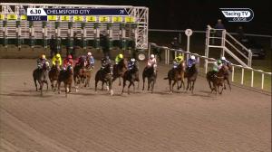 Video preview image for Chelmsford City 18:30 - tote.co.uk Free Streaming Every UK Race Handicap (5)