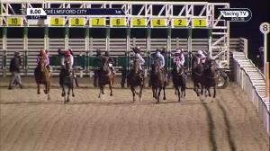 Video preview image for Chelmsford City 20:00 - tote.co.uk Now Never Beaten By SP Handicap (6) (Div 2)