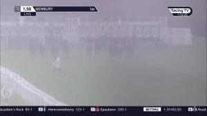 Video preview image for Newbury 13:50 - Molson Coors Beverage Company EBF Fillies' Novice Stakes (4)