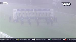 Video preview image for Newbury 14:25 - Download The Tote Placepot App Nursery Handicap (3)