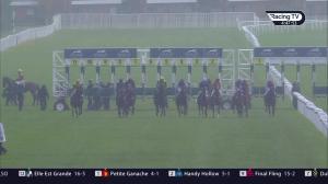 Video preview image for Newbury 16:45 - Download The Tote Placepot App Handicap (2)