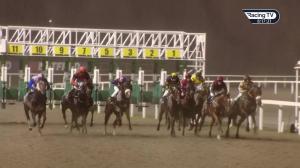 Video preview image for Chelmsford City 20:15 - Support The Injured Jockeys Fund Handicap (6) (Div 2)