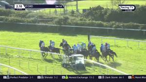 Video preview image for Wexford 14:10 - Carnsore Point Maiden Hurdle