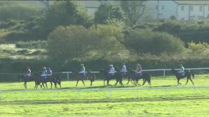 Video preview image for Wexford 14:45 - St. Patrick's Bridge Handicap Hurdle