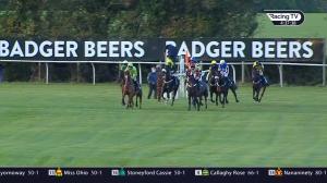 Video preview image for Wincanton 16:37 - Lara Telfer Reined In For Racing Welfare Handicap Hurdle (4)