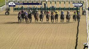 Video preview image for Dundalk 19:30 - Scarefest Competition On Instagram Handicap
