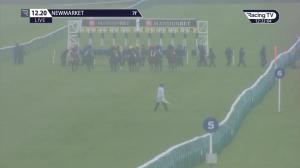 Video preview image for Newmarket 12:20 - Prestige Vehicles British EBF Fillies' Novice Stakes (4) (Div 2)