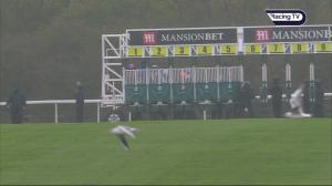 Video preview image for Newmarket 14:40 - Play 3-2-win At Mansionbet James Seymour Stakes (Listed) (1)