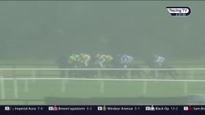 Video preview image for Naas 14:35 - Naas Nursery Handicap
