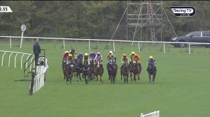 Video preview image for Huntingdon 14:55 - Mansionbet Faller Insurance Handicap Hurdle (5)