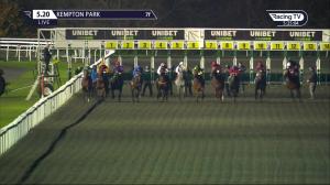 Video preview image for Kempton Park 17:20 - Unibet/British Stallion Studs EBF Fillies' Novice Stakes (5) (Div 2)