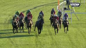 Video preview image for Newbury 15:05 - Indzine Handicap Chase (Qualifier) (3)
