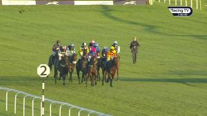 Video preview image for Newbury 15:40 - tote.co.uk Standard Open National Hunt Flat (5) (Div 1)