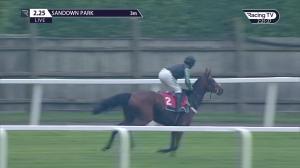 Video preview image for Sandown Park 14:25 - Future Stars Intermediate Chase (Listed) (1)