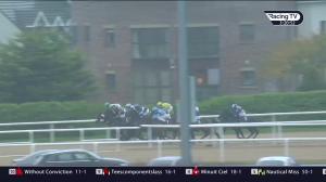 Video preview image for Dundalk 15:20 - dundalkstadium.com Median Auction Maiden (Div 1)