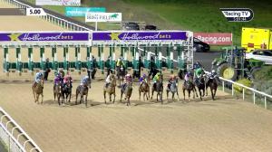 Video preview image for Dundalk 17:00 - dundalkstadium.com Handicap