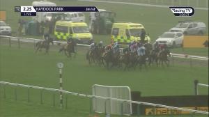 Video preview image for Haydock Park 14:25 - Betfair Exchange Stayers' Handicap Hurdle (Grade 3) (1)