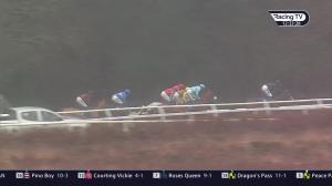 Video preview image for Exeter 12:33 - 100% RacingTV Profits Back To Racing Novices' Chase (3)