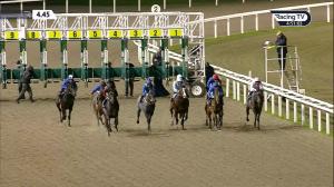 Video preview image for Chelmsford City 16:45 - British Stallion Studs EBF Maiden Stakes (5)