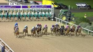 Video preview image for Dundalk 17:30 - Find Us On Facebook @dundalkstadium Handicap (Div 2)