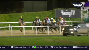Video preview image for Dundalk 17:15 - dundalkstadium.com Nursery Handicap