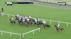 Video preview image for Limerick 14:45 - Irish Stallion Farms European Breeders Fund Maiden Hurdle 