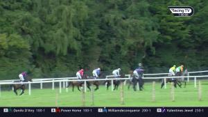 Video preview image for Clonmel 13:00 - clonmelraces.ie Novice Handicap Chase 