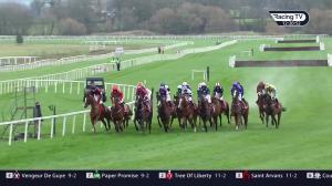 Video preview image for Cork 12:20 - Charleville Cheese Maiden Hurdle (Div 1)