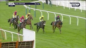 Video preview image for Cheltenham 12:05 - International Decorative Surfaces Novices' Chase (2)